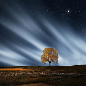 68式做爱的视频在线观看
