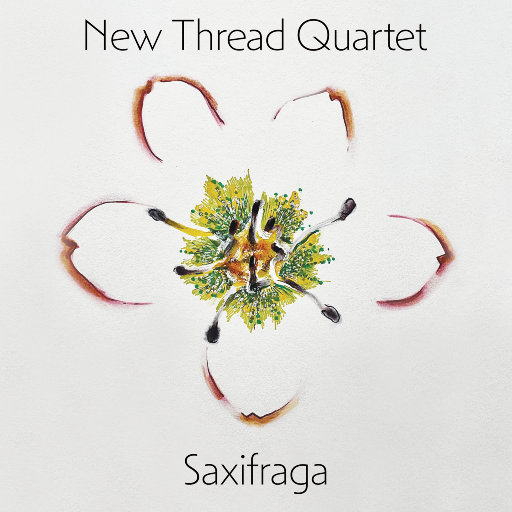 68式做爱的视频在线观看
